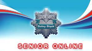 senior online