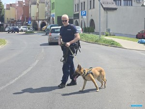 przewodnik z psem służbowym