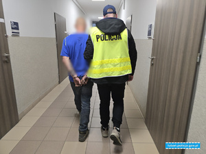 doprowadzenie zatrzymanego