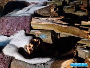 ZATRZYMANI MĘŻCZYŹNI PODEJRZEWANI O KRADZIEŻ DRZEWA