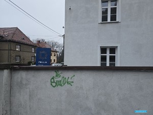 Z POCIĄGU PROSTO NA KOMENDĘ- NIECODZIENNA INTERWENCJA LUBAŃSKICH POLICJANTEK