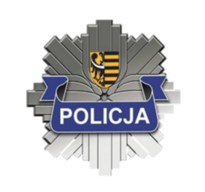 RUTYNOWA KONTROLA DROGOWA ZAKOŃCZONA ZATRZYMANIEM KIEROWCY AUDI