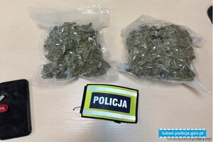 Ponad 0,5 kilograma marihuany nie trafi na rynek – lubańscy kryminalni zatrzymali 21-laka